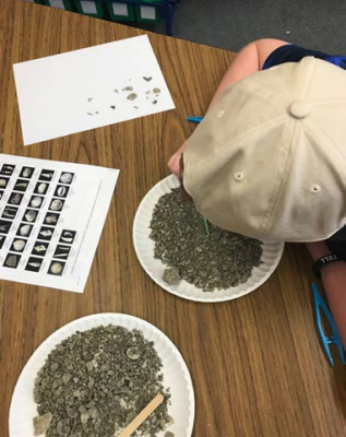 Sorting matrix at Ft. White STEM camp