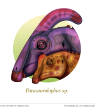 Parasaurolophus: Illustration from “The Circles ofLife” series.