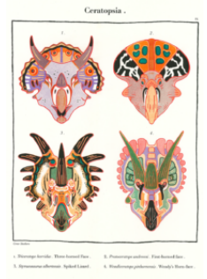 Ceratopsid series