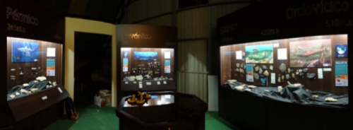 view of museum display cases