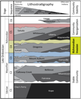 Figure 2: Rock units distinguished in termsof relative geologic time in the Late
Ordovician. Richmondian Invasion noted by
the gold box on the right. The colored units
are those affected by the invading
organisms. Photo courtesy of the Ordovician Atlas,
drafted
by H.M.R. Brame.