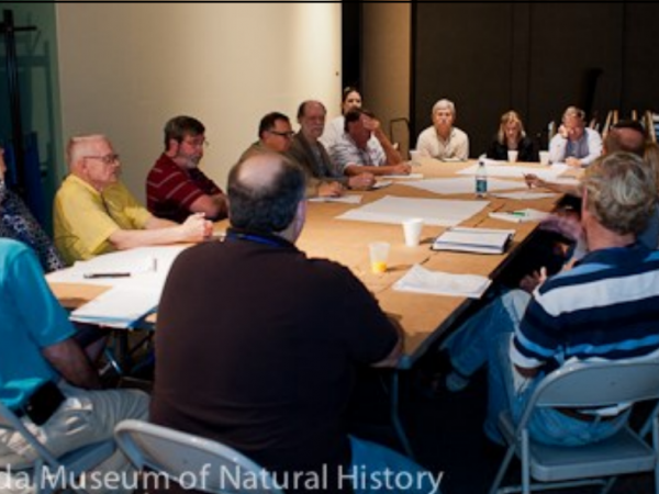 Participants at the FOSSIL Kickoff meeting discuss priorities for myFOSSIL, which will be designed based on feedback from users of the network. Photo by Jeff Gage.