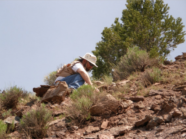Collecting in the Pennsylvanian at McCoy, Colorado