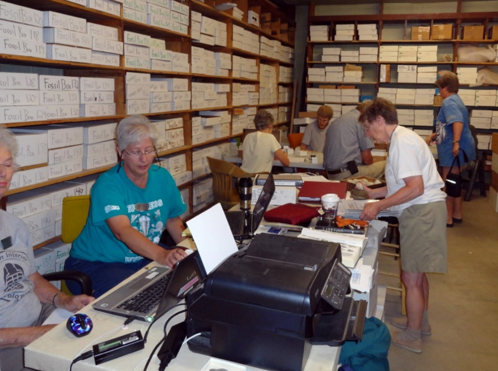 Members participate in citizen science projects like helping catalog fossils at the Colorado School of Mines Geology Museum