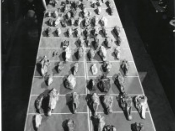 Morris Skinner with Frick fossil horse collection, ca. 1970s