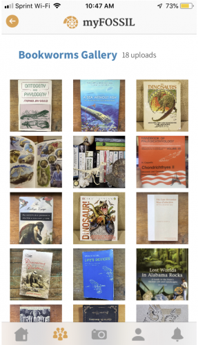 Screenshot of the "Bookworms Gallery" page