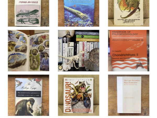 Screenshot of the "Bookworms Gallery" page