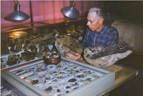 Tom Bones in his basement museum, Vancouver, Washington. Many of these specimens are now curated at theFlorida Museum.