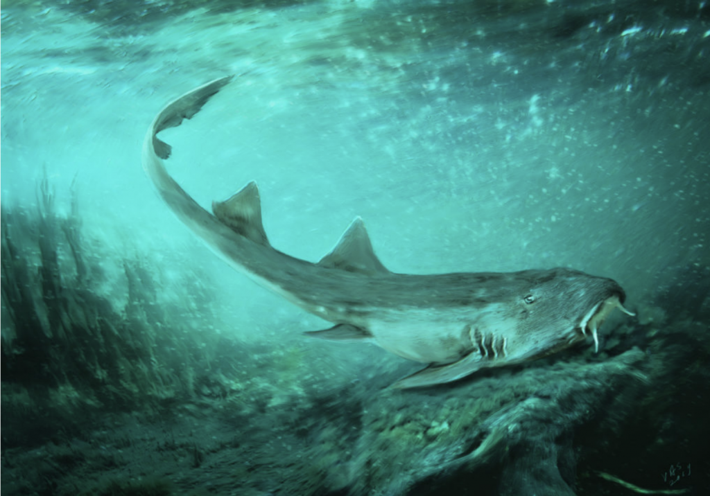 Life reconstruction of Galagadon nordquistae. Photo courtesy of Velizar Simeonovski