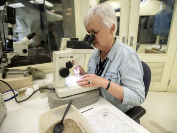 Karen Nordquist, Field Museum, photo by Karen Bean