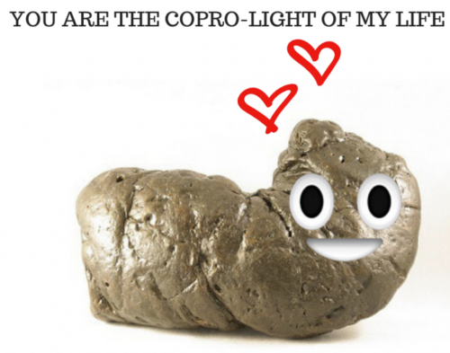 We hope your Valentine’s Day didn’t stink! And remember that there’s no such thing as a crappy fossil! Check out the myFOSSIL App or to share your fossil finds