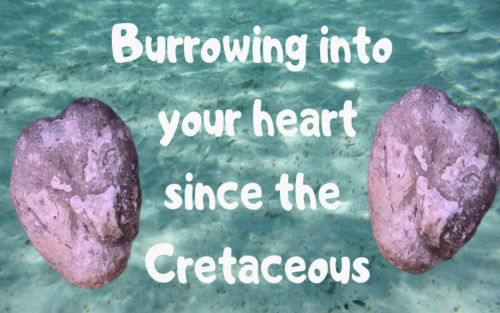 "Burrowing into your heart since the Cretaceous" post