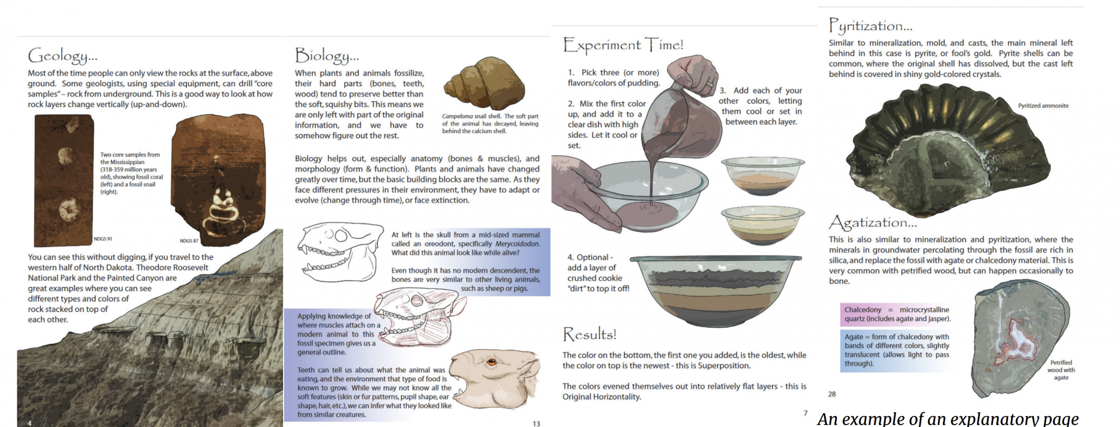 Pages featuring introduction to geology, biology, the principle of superposition, and the preservation of fossils.