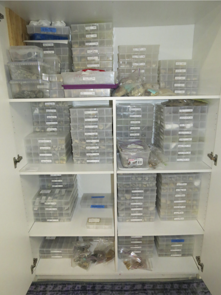 Small fossil storage in Linda’s home curated by locality and type of fossil.