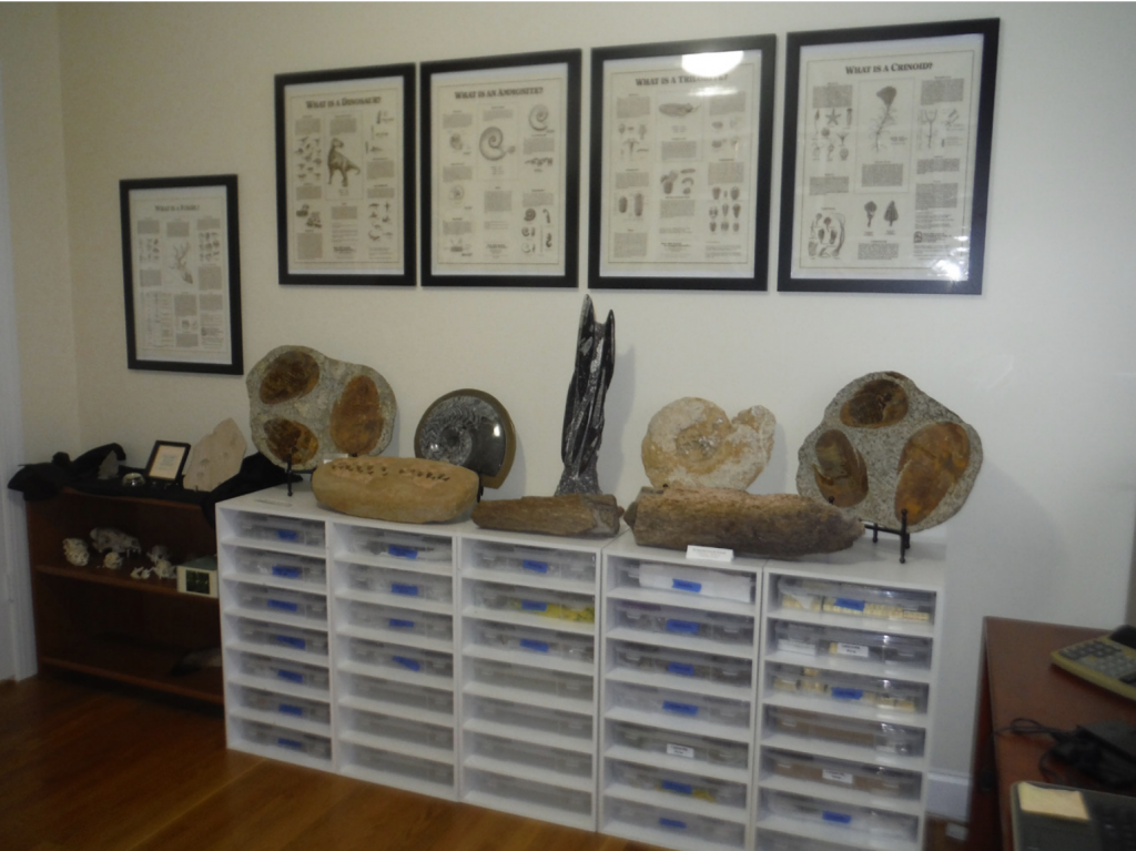 Linda’s home office with large displays of fossils, annotated images frame, and drawers of fossils.