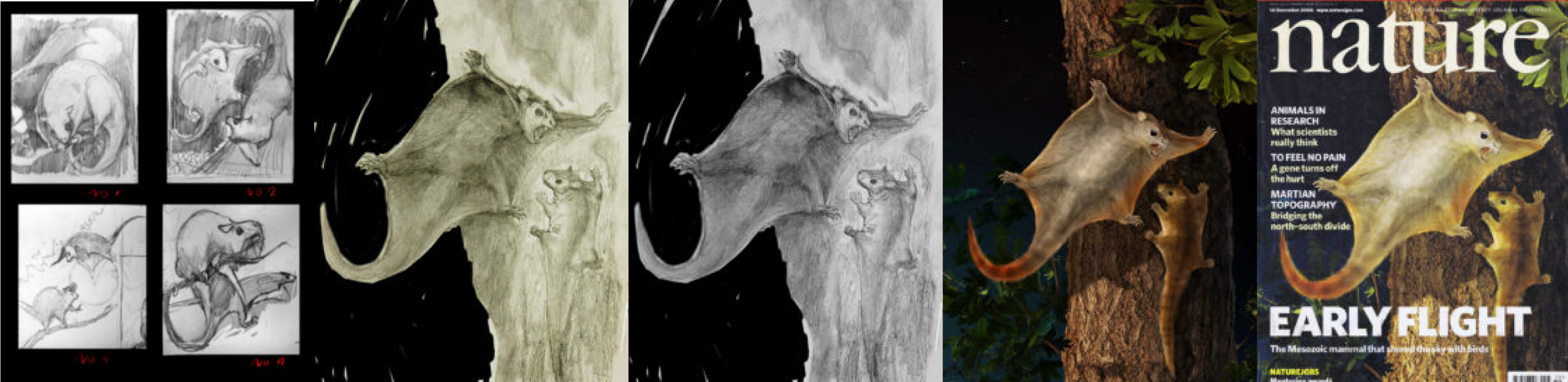 The Nature cover artwork in progress