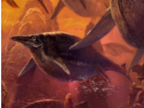 Shastasaurus: digital painting by ZHAO Chuang