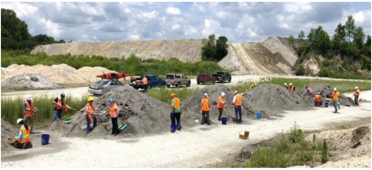 Collaborating at Belgrade