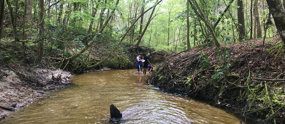 GLY1150L students in Hogtown Creek sieving for fossils, photo courtesy of Joshua Dawson