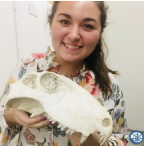 Enjoying some time in the teaching collectionfrom the Florida Museum of Natural History.