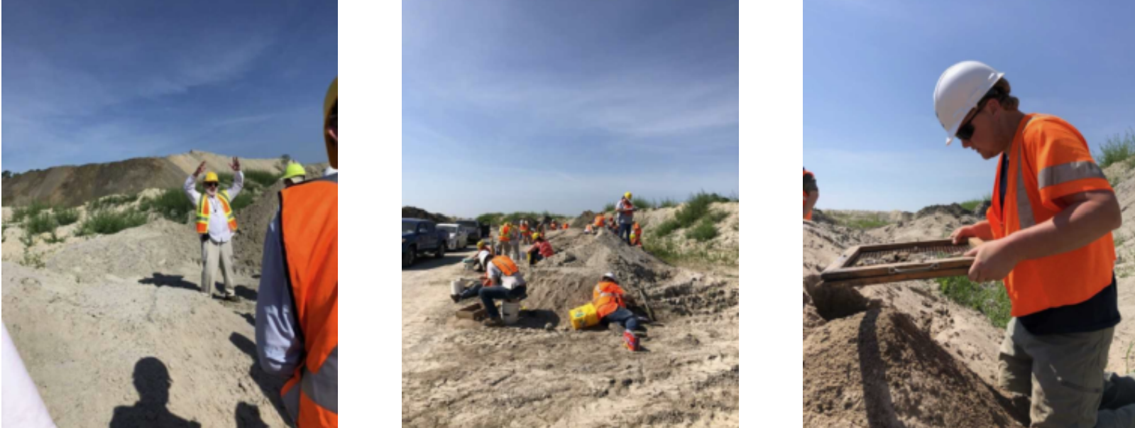 Dave Bohaska, vertebrate paleontologycollections manager at the Smithsonian,
provides a site overview; Participants spread out and scour the
mounds for new fossil discoveries; Sean Moran, PhD student from the
Florida Museum of Natural History, dry
sifting