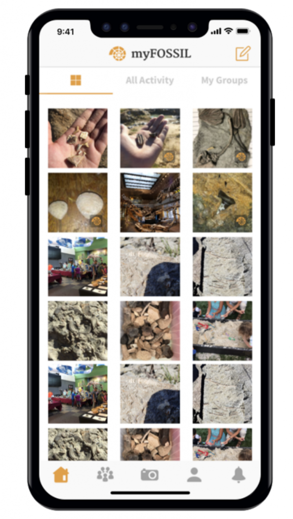 Figure 3. The myFOSSIL Mobile App