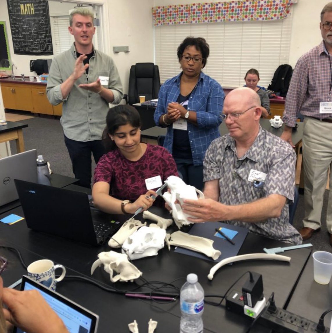 Teachers examine 3D printed fossils at the NAPC teacher workshop.