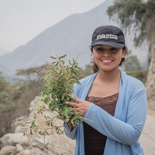 woman holding a bundle of small branches