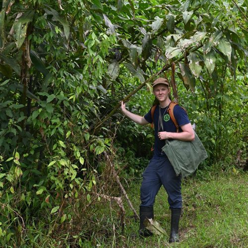 person sanding under a tree with large leaves