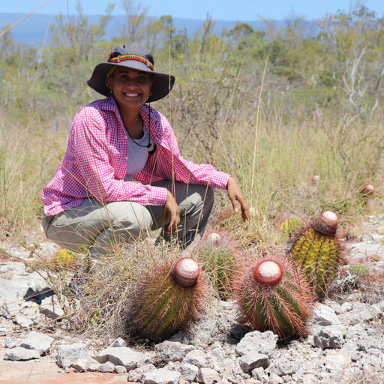 person kneeling next to small cacti 