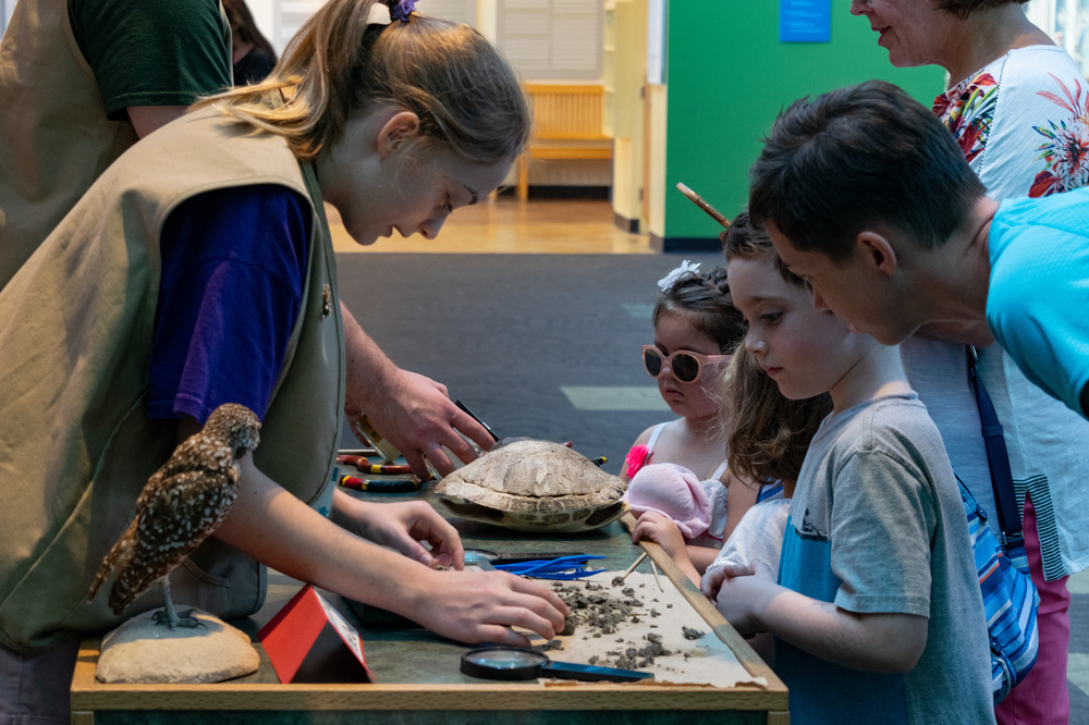 children look at turtle shell on discovery cart