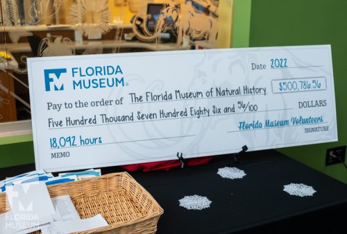 An enlarged check made out to the Florida Museum from the FM volunteers representing the 18,092 hours of service equivalent to $500,786.56. 