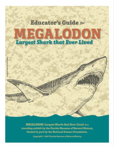 Megalodon Educator Guide cover