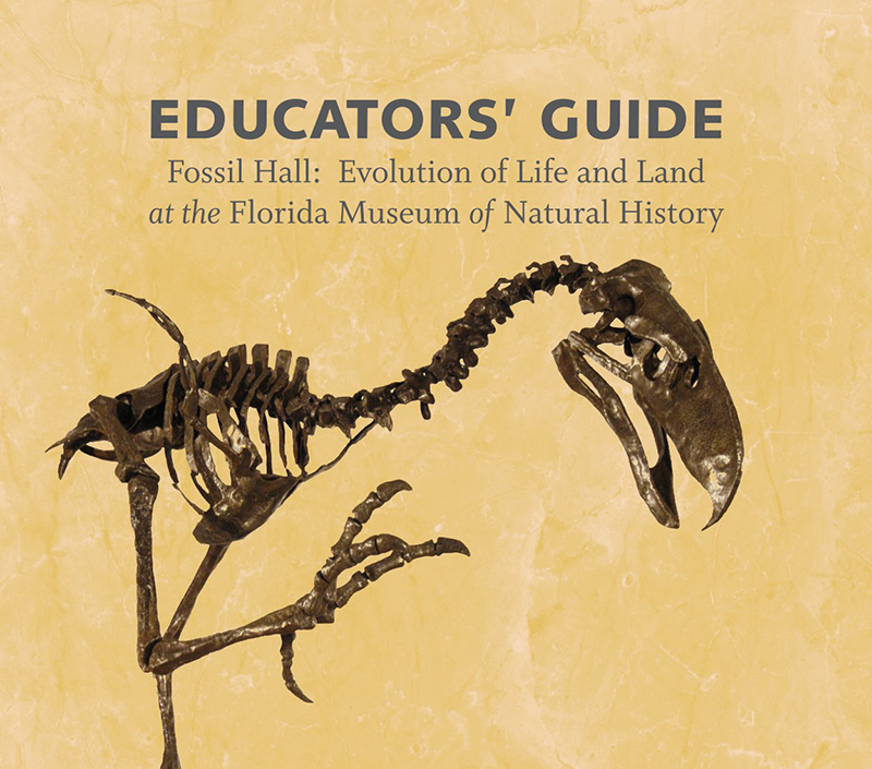 Fossil Hall Educators Guide
