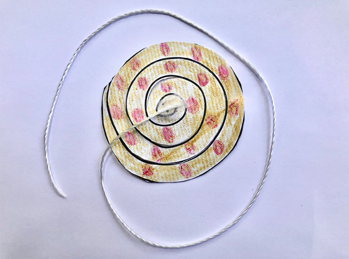 photo of Snake Kite