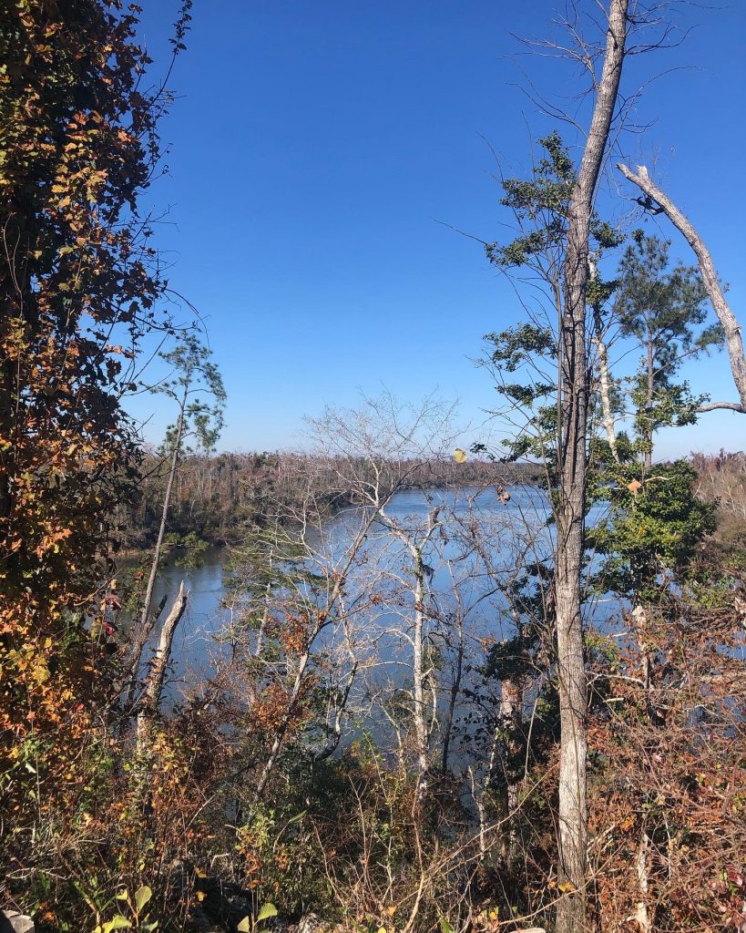 view of river from bluff with trees
