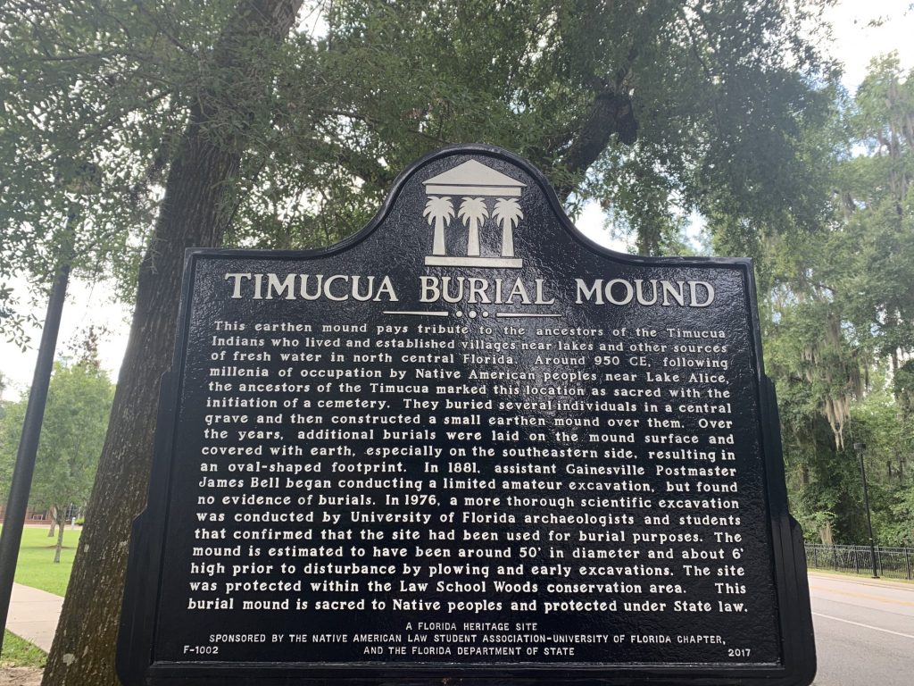 Alachua burial mound at law school