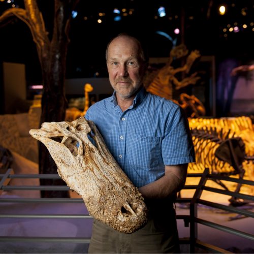 man holding alligator skull in museum exhibit