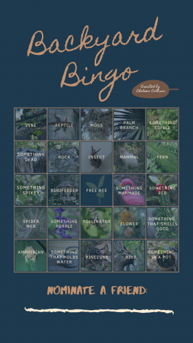 backyard bingo card with nature items