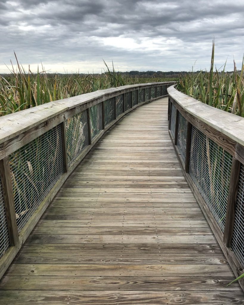 looking down path of nature trail