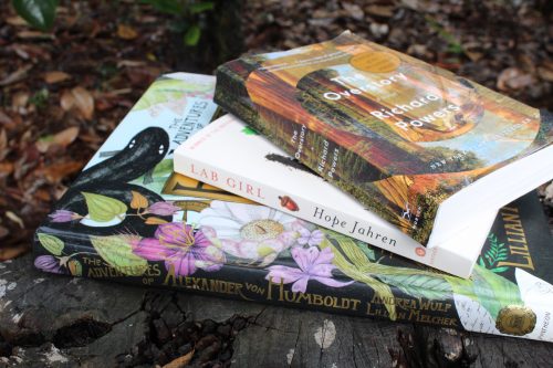 stack of books on tree stump