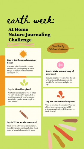 earth week nature challenge instructions