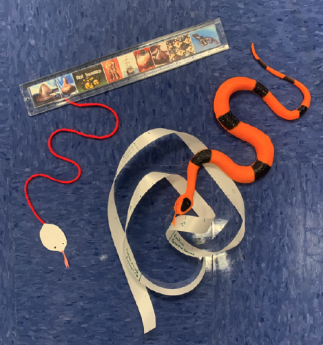 collection of objects - a toy snake, string with a paper snake head at one end, ruler, and tape measure