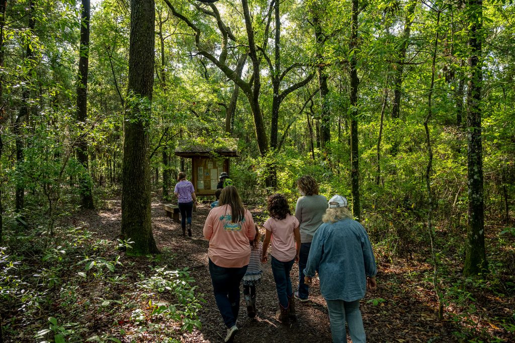 group of people, adults and children walk along a path through the woods towards a park display sign