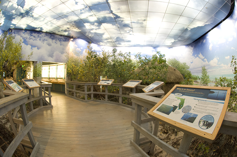 South Florida Exhibit, wooden walkway through the exhibit swamp. The walls and ceiling are painted to look like the sky. Signs line the walkway explaining parts of the exhibit.