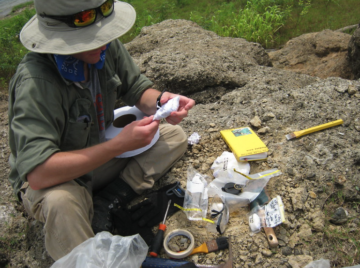 a paleontologist at a dig site bagging up findings
