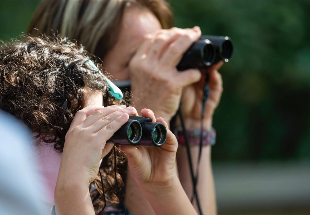 two people looking through binoculars