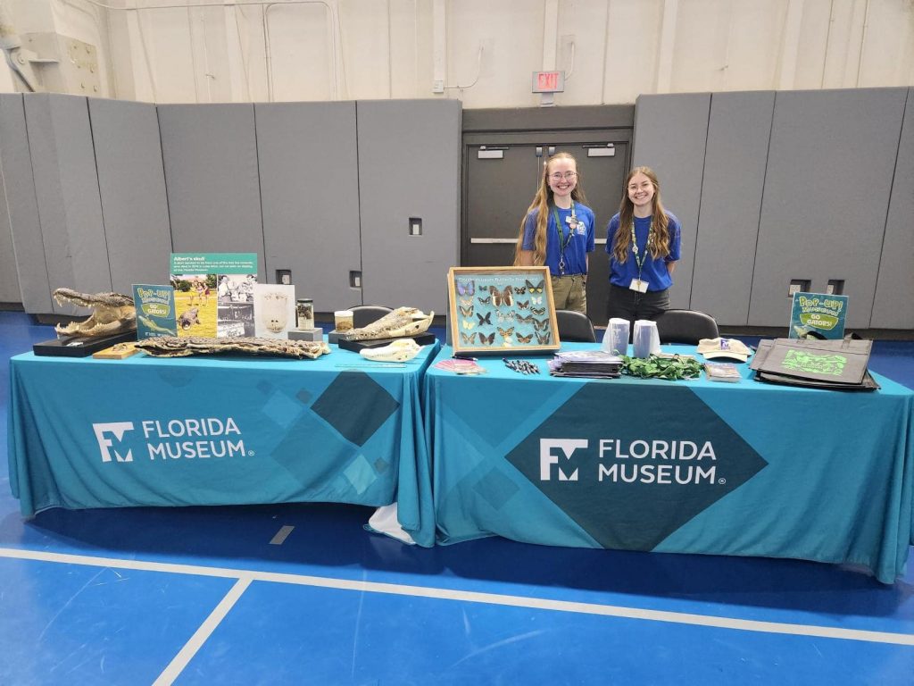Two people standing behind the Florida Musuem's pop-up museum tables each table is set with specimens and Florida Museum swag