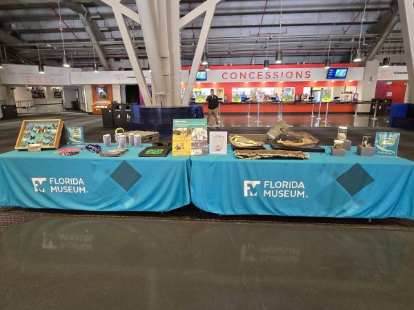 Two tables set with museum specimens and swag set up in front of the concession stands at the Women's Basketball game