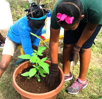 Kids planting in a pot